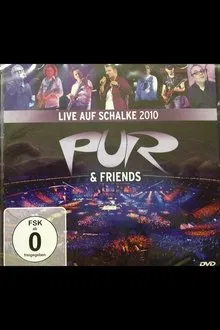 Pur & Friends: Live auf Schalke 2010 movie poster