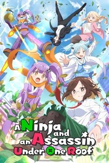 A Ninja and an Assassin Under One Roof tv show poster