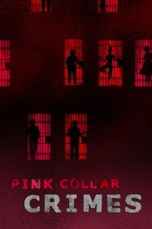 Pink Collar Crimes tv show poster