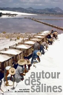 Autour des salines movie poster