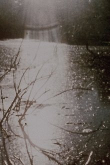 Report from Millbrook movie poster