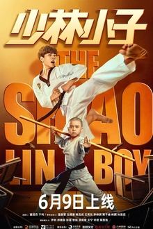 The Shaolin Boy movie poster