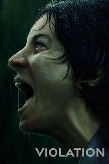 Violation movie poster