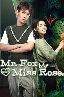 Mr. Fox and Miss Rose tv show poster