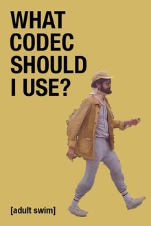 What Codec Should I Use? movie poster