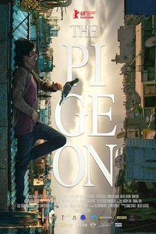 The Pigeon movie poster