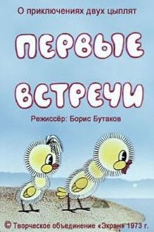 Первые встречи movie poster