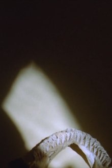 A Certain Worry movie poster