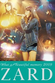 ZARD What a beautiful memory 2009 movie poster