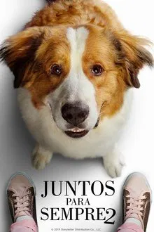 Poster do filme Juntos para Sempre