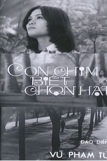 Con Chim Biết Chọn Hạt movie poster