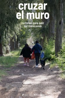 Cruzar el muro movie poster