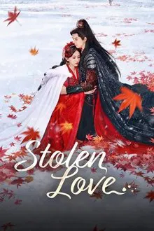 Stolen Love tv show poster