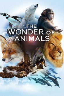 The Wonder of Animals tv show poster