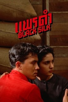 Black Silk movie poster
