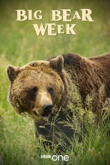 Big Bear Week tv show poster
