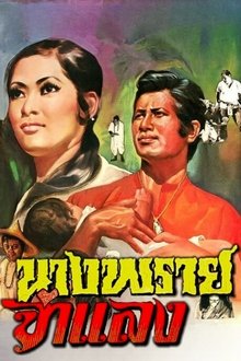 Mrs. Prai Chamlang movie poster