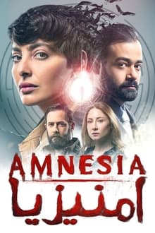 Amnesia tv show poster