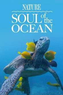 Soul of the Ocean movie poster
