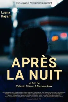 Poster do filme After the Night