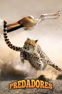 Poster da série The Hunt