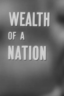 Wealth of a Nation movie poster