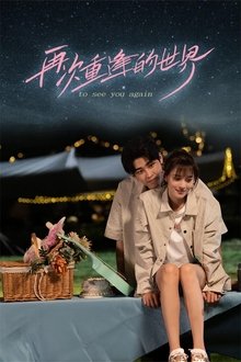 To See You Again tv show poster