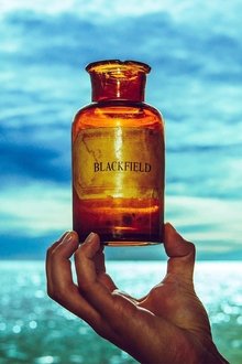 Blackfield V movie poster