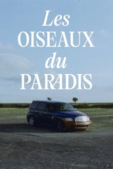 Les oiseaux du paradis movie poster