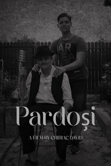 Pardoși movie poster