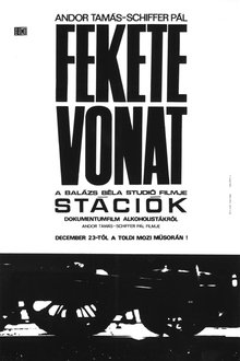 Poster do filme Black Train