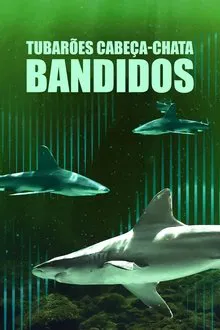 Poster do filme Tubarões Cabeça-Chata Bandidos