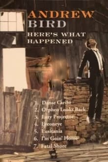 Andrew Bird: Here's What Happened movie poster