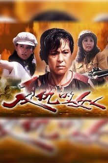 复仇的女人 movie poster