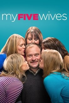 My Five Wives tv show poster