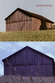 Barn Rushes movie poster