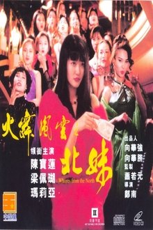 Poster do filme Whores from the North