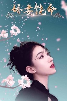 娇妻饶命 tv show poster