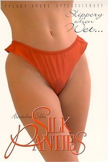 Silk Panties movie poster