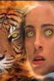 Wild Kat tv show poster
