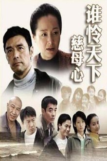 谁怜天下慈母心 tv show poster