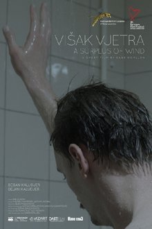 A Surplus of Wind movie poster