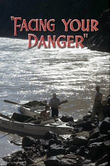 Poster do filme Facing Your Danger