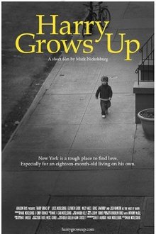 Harry Grows Up movie poster