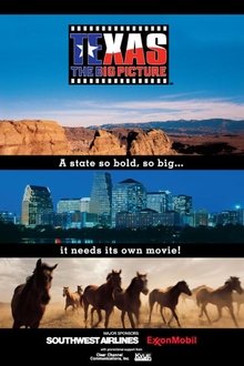 Texas: The Big Picture movie poster
