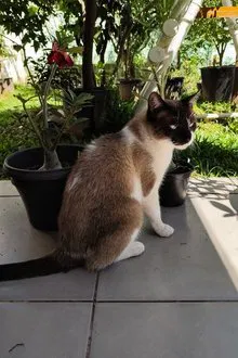 Miamia profile picture