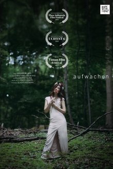Aufwachen movie poster