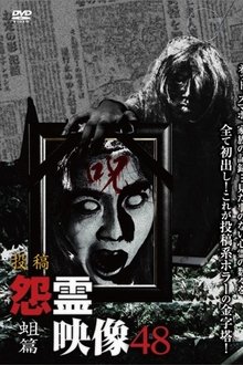 Posted Grudge Spirit Footage Vol.48: Maggot Edition movie poster
