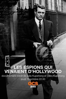 Hollywood Spies movie poster