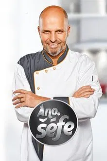 Yes, Boss! tv show poster